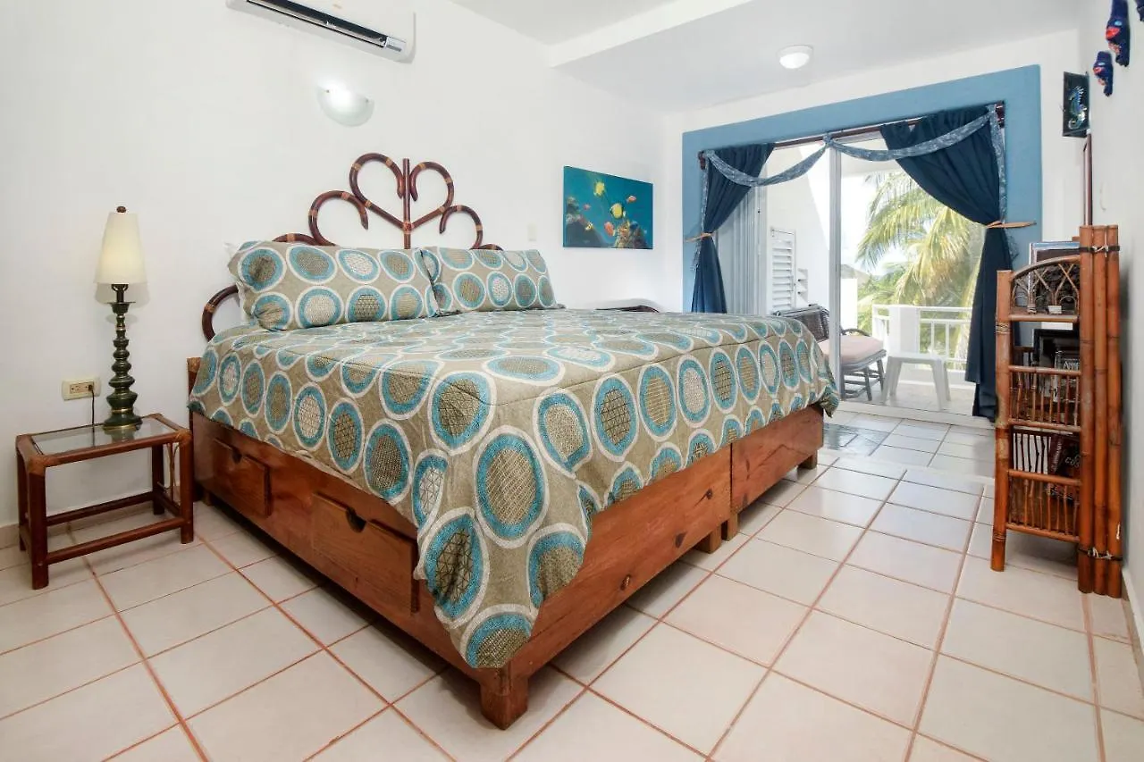 Amazing Location In Cozumel Oceanfront Perfect For Divers Paradise 2A San Miguel de Cozumel Mexico