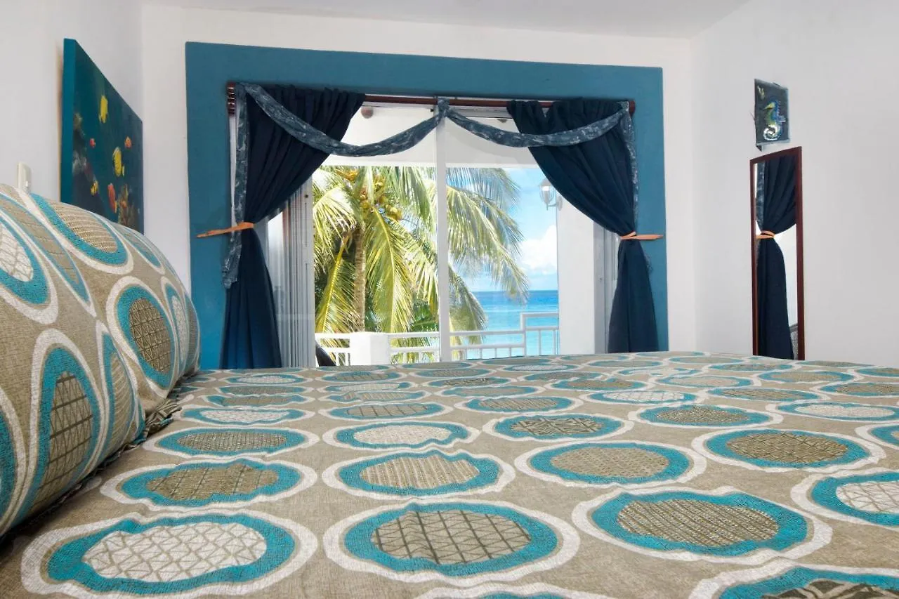 Amazing Location In Cozumel Oceanfront Perfect For Divers Paradise 2A San Miguel de Cozumel 0*,  Mexico