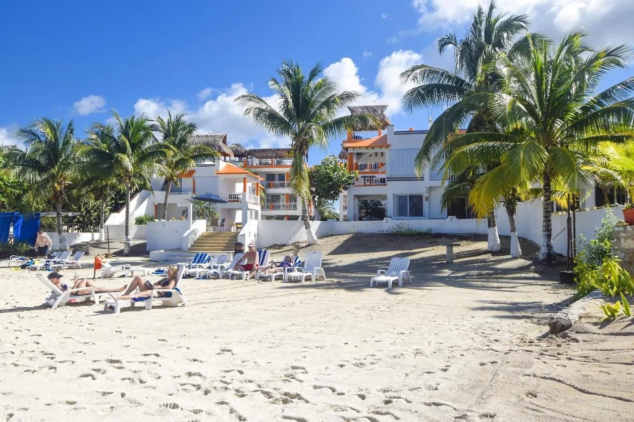 Apartment Amazing Location In Cozumel Oceanfront Perfect For Divers Paradise 2A San Miguel de Cozumel