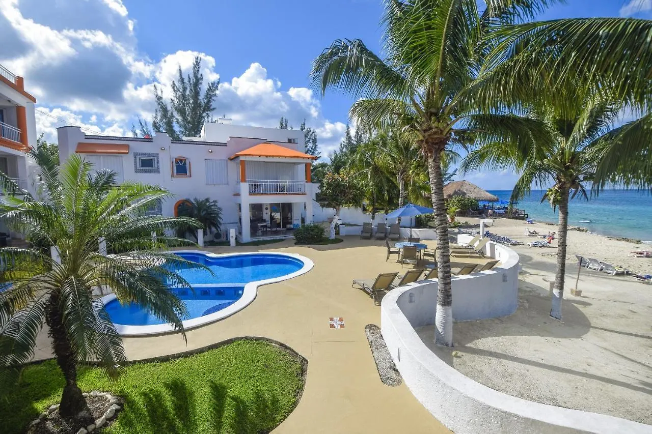 Amazing Location In Cozumel Oceanfront Perfect For Divers Paradise 2A San Miguel de Cozumel Apartment